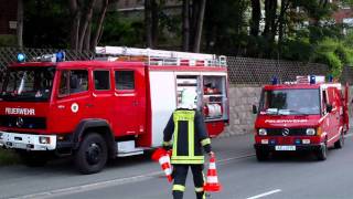 TLF16/25 + VRW Freiwillige Feuerwehr Auerbach