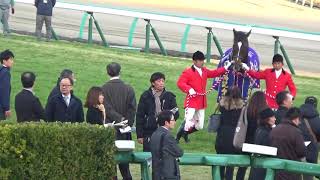 2017 有馬記念 優勝馬キタサンブラック