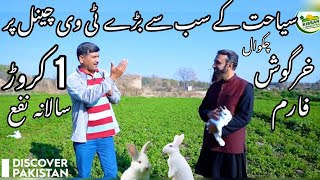 10 Millions Yearly Profit | Chakwal Rabbit Farm On Discover Pakistan | Only Biggest Tourism Channel