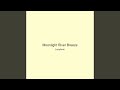 Moonlight River Breeze
