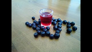 Likér z aronie - ten náš -  chokeberry liqueur ( druhák je taky celkem fajn, třeťák už ne)