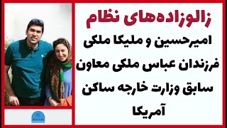 زالوزاده‌های نظام؛ امیرحسین و ملیکا ملکی ساکن آمریکا