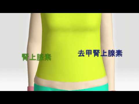 健康減肚腩方法 健康減肚腩方法