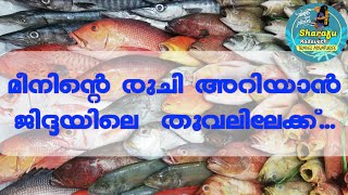 Thuwal fish market. ജിദ്ദ തൂവൽ