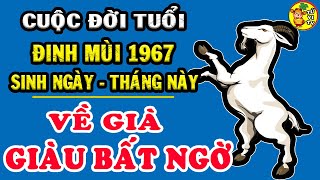 Cuộc Đời Tuổi Đinh Mùi 1967 Sinh Ngày Tháng Này Được Lộc Trời BAn, Tiền Vàng Chật KÉt