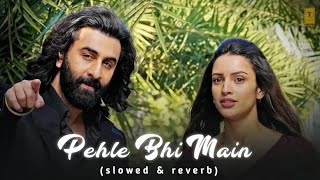 Pehle Bhi Main (Slowed + Reverb)| Vishal Mishra | Animal