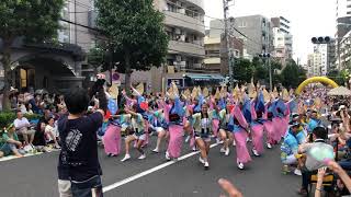 令和元年 高円寺阿波おどり-志留波阿連(Awaodori in Koenji Japan、高圓寺阿波舞)