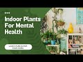 Indoor Plants For Mental Health I Lucky Plants For Your Home