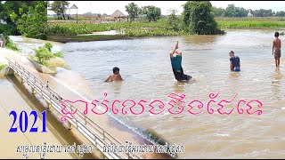 Traditional fishing ការនេសាទត្រីបែបបុរាណ ស្រុកស្រែ (Kanesat Trey Beb Buran)