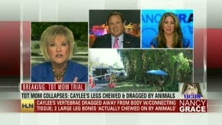 Nancy, attorney debate crime scene pics