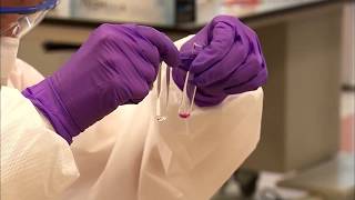 NYC's DNA Crime Lab Can Analyze Anything We Touch