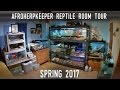 Reptile Room Tour Spring 2017 | FINALLY Back With 24 SPECIES!