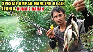 Membuat umpan ampuh ikan sungai ampuh langsung tes