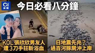 #今日新聞 香港｜KOL張欣欣男友人被斬　劉文正假死避復出　日本逾百河豚屍體沖上沙灘  星雲大師舍利子引專家熱議｜香港新聞｜HongKong News｜2月16日香港新聞