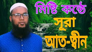 আল্লাহ কি বিচারকদের শ্রেষ্ঠ বিচারক নন?/ অর্থসহ /Omar faruk