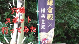 【朝比奈切通し🌳】　熊野神社を散策してみた!高画質対応です