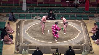 三段目優勝争い全勝対決／栃幸大-龍勢旺/2018.1.26(8)/tochiko^dai-ryu^seio^/day13 #sumo