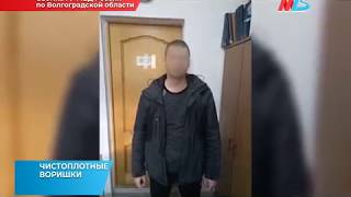 В Волгограде задержана банда похитителей мусорных баков