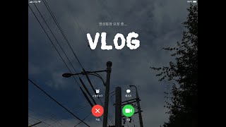 Vlog 아 맛있었다...