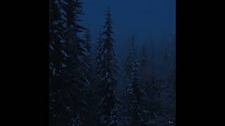 daniel.mp3 - dark snowy night (slowed \u0026 reverb)