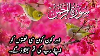 Surah Rehman with Urdu translation|Quran with Urdu and Hindi translation|cure from diseases