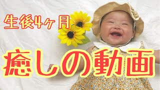 必見！！！≪生後4か月≫赤ちゃんの可愛い癒し動画～ほのぼの日常～