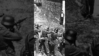 why firing squads issue a blank cartridge #history #strangehistory #historicalgems #facts #shorts