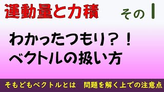 運動量と力積　01　ベクトルの扱い方がわからないと以降全て理解不能？！