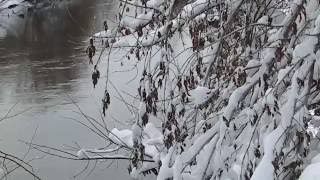 Футаж для відеомонтажа. Береги ріки після снігопаду ~ The banks of the river after snowfall