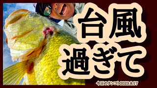 【今日のナンコ！2023.8.17】台風過ぎて【琵琶湖バス釣り】