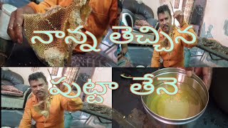 నాన్న తెచ్చిన పుట్టా తేనె #shorts #volg