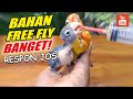 Melatih Lovebird FREE FLY | How to Train Your Lovebird Free Fly #1