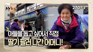 [사노라면] 270-3 아들을 돕고 싶어서 직접 딸기 팔러 나간 어머니!