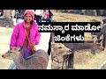 Nara Deer | Nara Deer Park | Bowing Deer in Nara, Japan | Todaiji Temple |  #nara #naradeer #japan