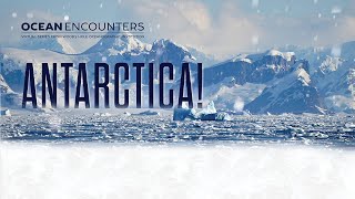 Ocean Encounters: Antarctica!