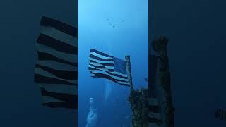 This sunken ship has an American flag that flows in the current! #shorts #travel #adventure