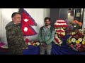 flora expo flower decoration pushpa mela indoor outdoor flower flower tips