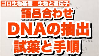 【DNAの抽出方法の覚え方】試薬と手順　タンパク質分解酵素の語呂合わせ　DNAの帯電、電気泳動での移動方向も！　生物と遺伝子　ゴロ生物基礎