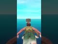 101 Raft Tips: #41: Third Person