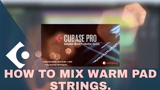 HOW TO MIX WARM PAD STRINGS.#mixing #mastering #cubase