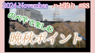 2024年【ハゼ釣り#88】11月22・24・25日‗まだまだのべ竿で釣りたい！葦の茂るあの場所で釣ってみたら③‗釣果情報