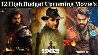 Top 12 Upcoming BIG BUDGET Pan India Movie's In 2024-26 | Upcoming BIG BUDGET Movie's Bollywood|