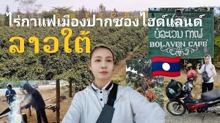 EP10.🇱🇦แวะชิมกาแฟที่ #ไร่กาแฟเมืองปากชอง ไฮแลนด์ลาวใต้