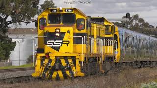 Comeng's to Retirement, PN Grain \u0026 SCT Freights - Trains of Melbourne