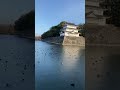 名古屋城の堀に鴨大量発生