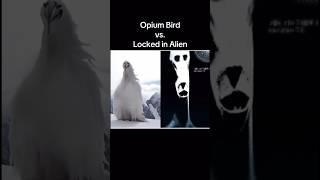 Locked in Alien vs. Opium Bird