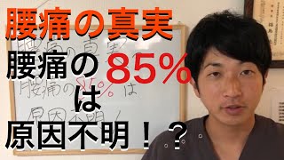 【福岡 腰痛】腰痛の真実 腰痛の85%は原因不明！？【福岡市早良区 慢性腰痛専門 整体院 初陽】