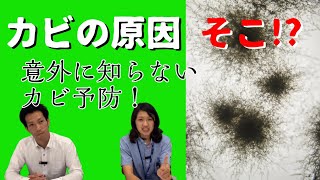 ［79 そうだったの！お部屋のカビ抑え込みポイント］楽しくきれいに「サニクリーンのどろそうチャンネル」