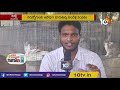 కుందేళ్ల పెంపకంతో ఏడాది పొడవునా ఆదాయం rabbit farming methods matti manishi 10tv news