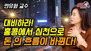 대비하라! 돈과 인재가 몰려드는 심천에서 생겨날 일들을! / 주식투자 / 안유화 교수